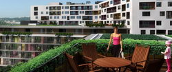 NANETTE CITY HOME